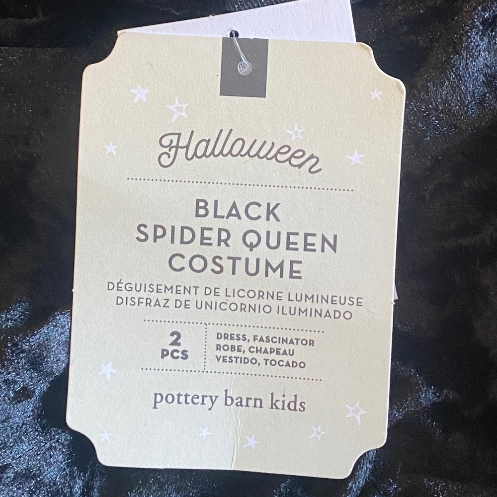 Light Up Black Spider Queen Halloween Costume - Pottery Barn Kids - Picture 5 of 8